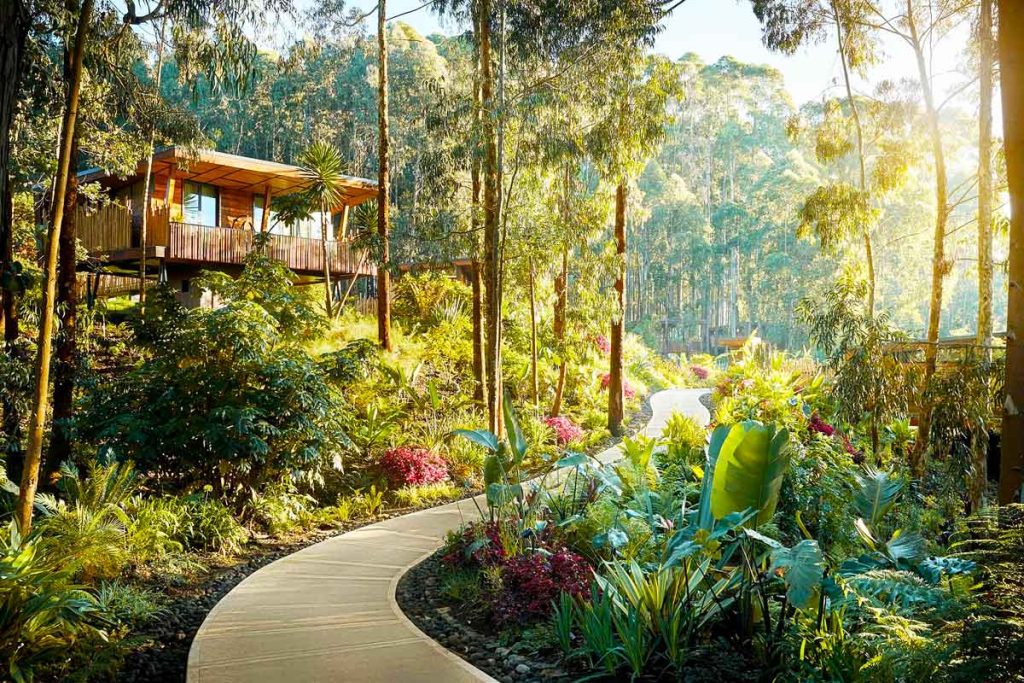 A dreamy walk through One & Only Gorilla’s Nest is one of the best experiences