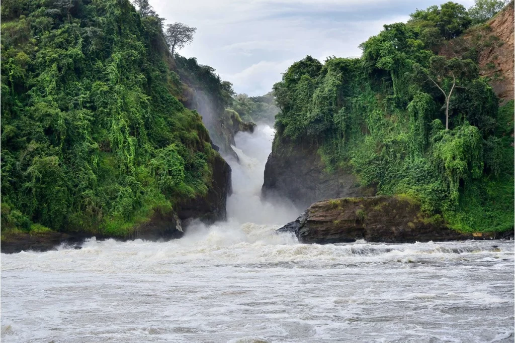 murchison falls
