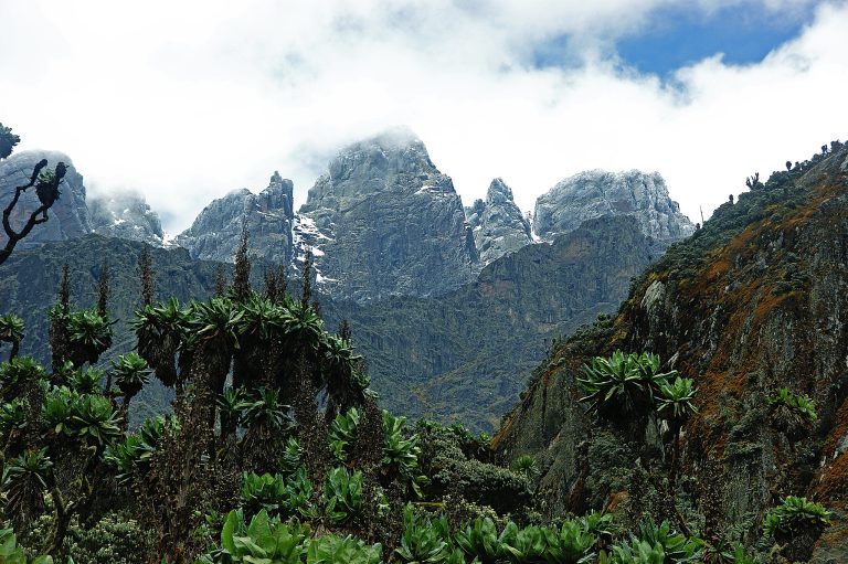 Scenic Views as trekkers trek Mountain Rwenzori - Mountain Rwenzori National park