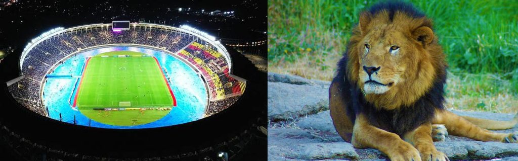 Mandela National Stadium Namboole Uganda football match crowd & Wildlife Safari Tours