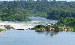 Fishing on the Nile - Jinja Uganda