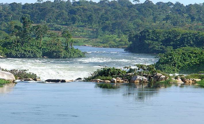 Fishing on the Nile - Jinja Uganda