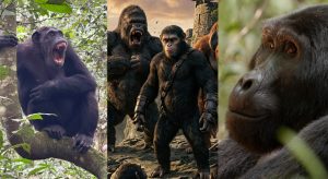 Kingdom of the Planet of the Apes - Kibale and Bwindi National Park