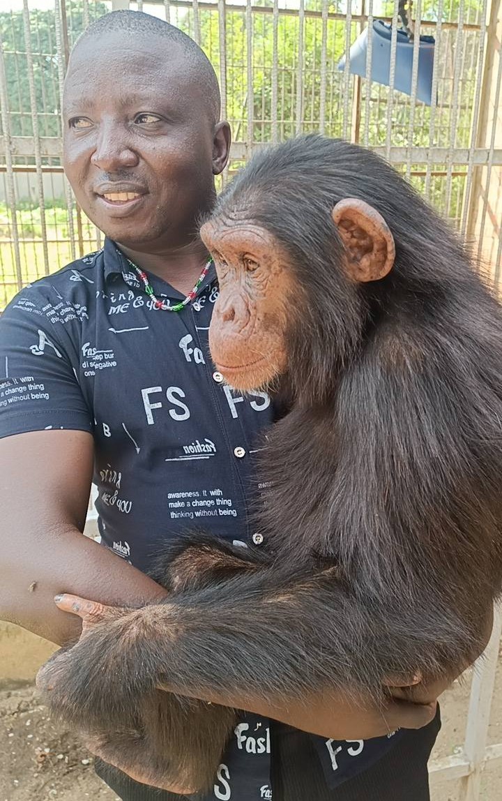 Sali Billy carrying a baby chimpimpanzee