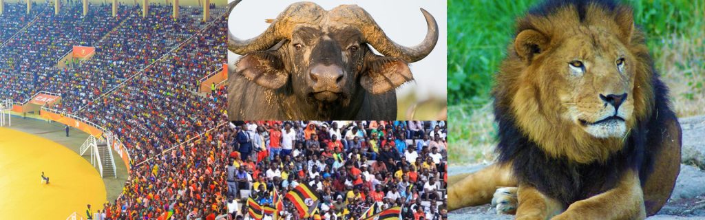 AFCON 2027 Uganda football fans and wildlife safari in Murchison Falls.