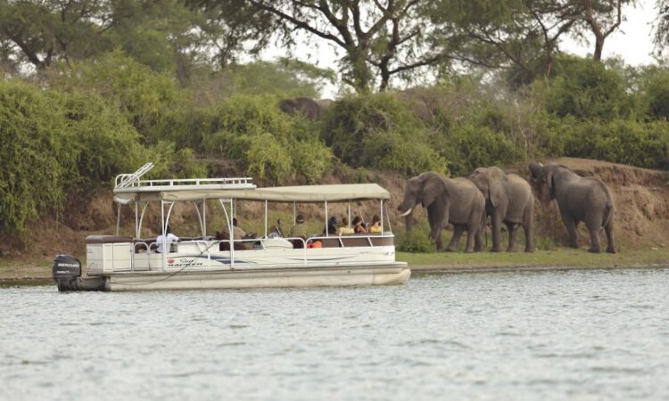 boat cruise Kazinga Channel