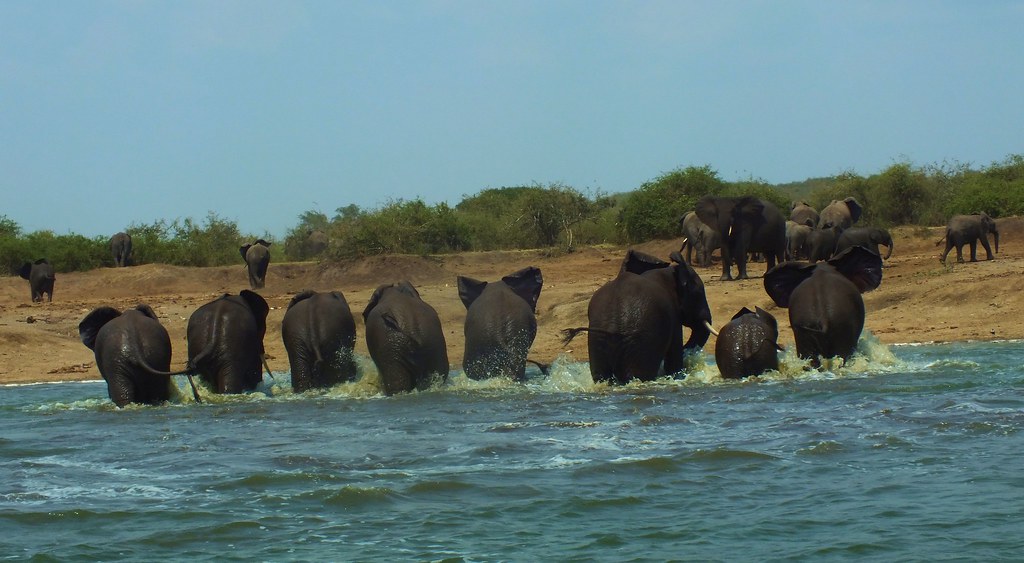 The Great Ruaha River