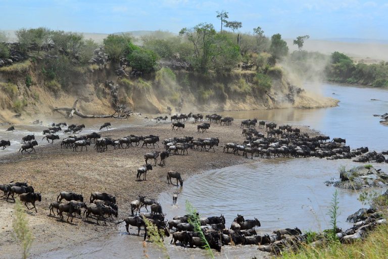 When is the Great Serengeti Migration