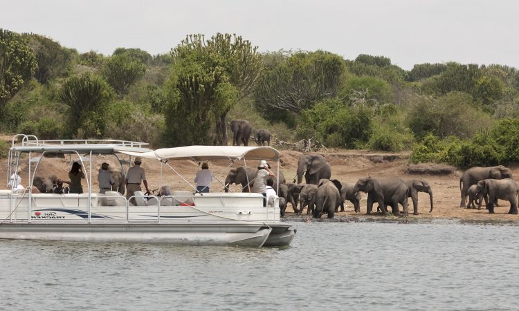 Boat cruise on Kazinga channel - Queen Elizabeth National park