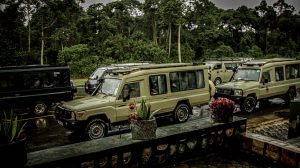 Safaris in Uganda